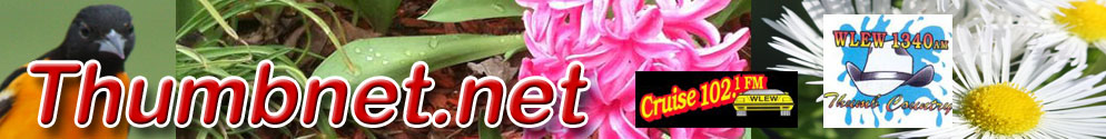 Thumbnet.net header graphic
